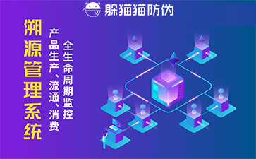 防偽溯源系統(tǒng)的優(yōu)勢(shì)價(jià)值有哪些?