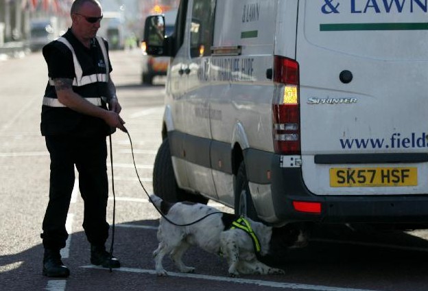倫敦馬拉松賽采用警犬與安檢門等設備共同防御不法活動[圖]