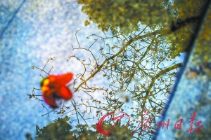 廣州墓園清明節(jié)祭祀活動需先過安檢關